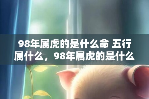 98年属虎的是什么命 五行属什么，98年属虎的是什么命
