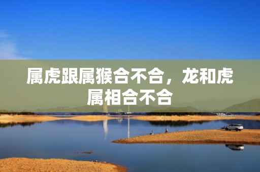 属虎跟属猴合不合，龙和虎属相合不合