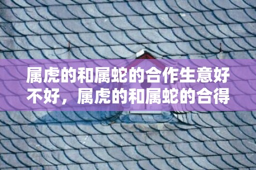 属虎的和属蛇的合作生意好不好，属虎的和属蛇的合得来吗