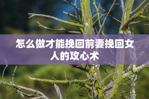 怎么做才能挽回前妻挽回女人的攻心术