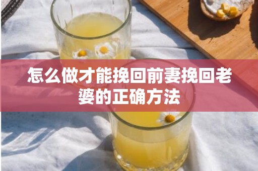 怎么做才能挽回前妻挽回老婆的正确方法