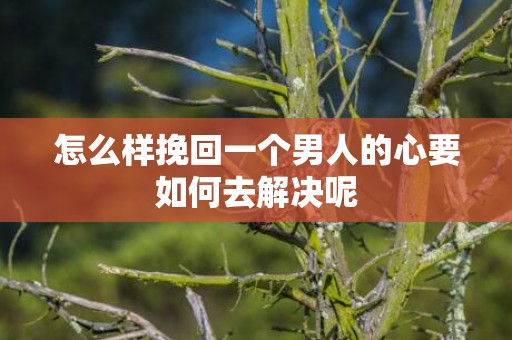 怎么样挽回一个男人的心要如何去解决呢