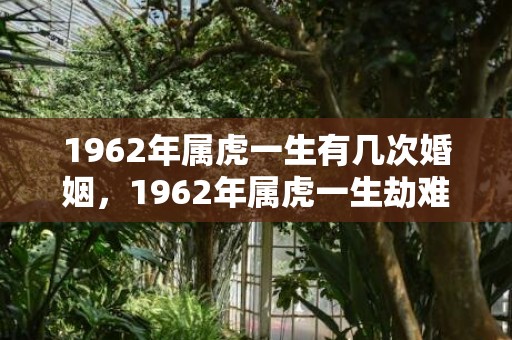 1962年属虎一生有几次婚姻，1962年属虎一生劫难