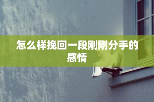 怎么样挽回一段刚刚分手的感情