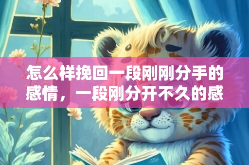 怎么样挽回一段刚刚分手的感情，一段刚分开不久的感情应该怎么挽回
