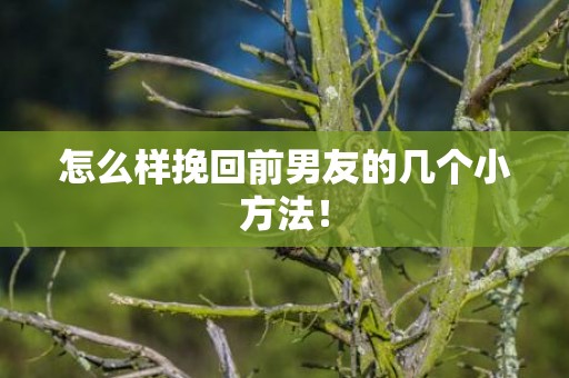 怎么样挽回前男友的几个小方法！