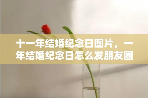 十一年结婚纪念日图片，一年结婚纪念日怎么发朋友圈 结婚一周年纪念日怎么发朋友圈