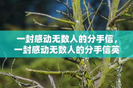 一封感动无数人的分手信，一封感动无数人的分手信英语？感人的分手信句句催人泪下