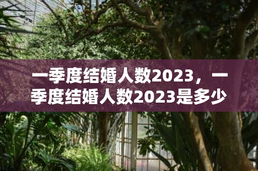 一季度结婚人数2023，一季度结婚人数2023是多少天 去年结婚离婚人数对比