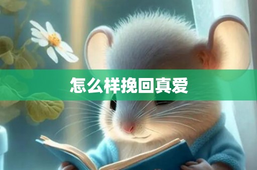 怎么样挽回真爱