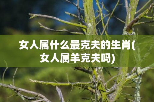 女人属什么最克夫的生肖(女人属羊克夫吗)