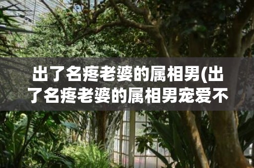 出了名疼老婆的属相男(出了名疼老婆的属相男宠爱不打骂)
