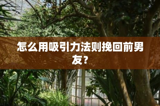 怎么用吸引力法则挽回前男友？