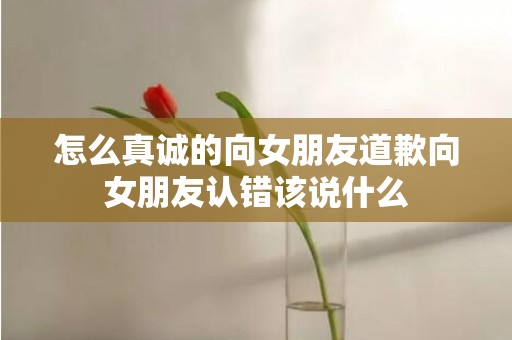 怎么真诚的向女朋友道歉向女朋友认错该说什么