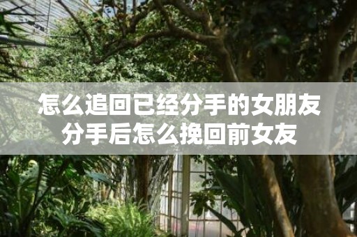 怎么追回已经分手的女朋友分手后怎么挽回前女友