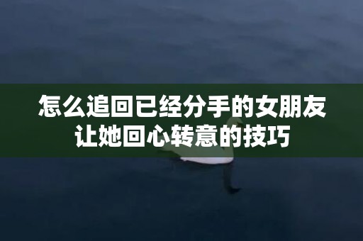 怎么追回已经分手的女朋友让她回心转意的技巧