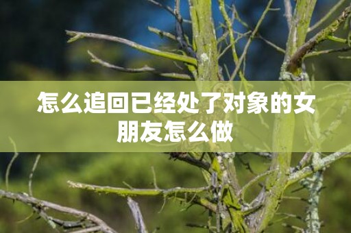 怎么追回已经处了对象的女朋友怎么做