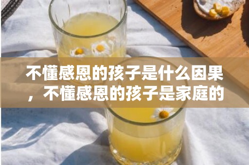 不懂感恩的孩子是什么因果，不懂感恩的孩子是家庭的悲哀 孩子不懂感恩的表现有哪些