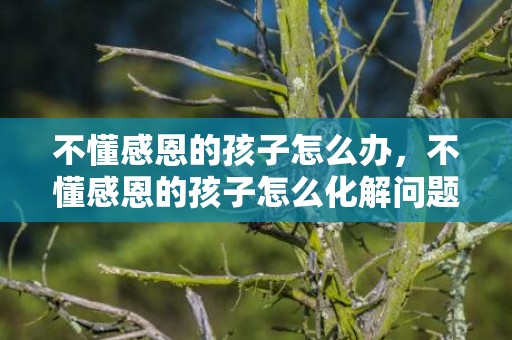 不懂感恩的孩子怎么办，不懂感恩的孩子怎么化解问题，遇到不懂的问题可以什么或什么