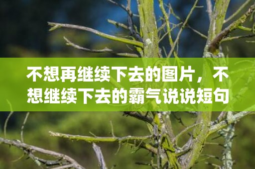 不想再继续下去的图片，不想继续下去的霸气说说短句(没必要继续下去的说说)