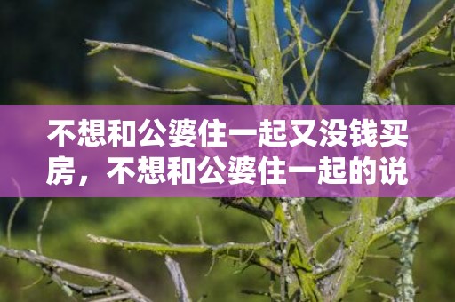 不想和公婆住一起又没钱买房，不想和公婆住一起的说说短语 讨厌跟公婆住一起