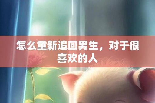怎么重新追回男生，对于很喜欢的人