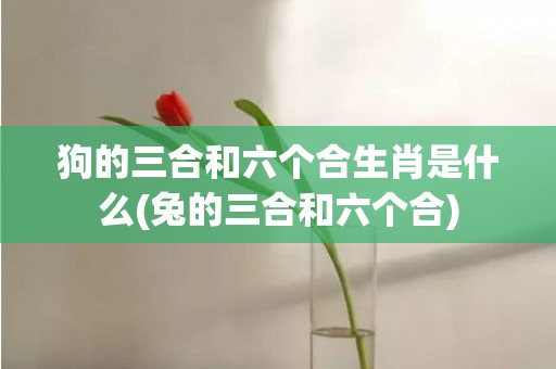 狗的三合和六个合生肖是什么(兔的三合和六个合)