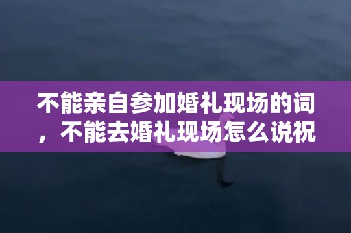不能亲自参加婚礼现场的词，不能去婚礼现场怎么说祝福语？婚礼现场对新人祝福语