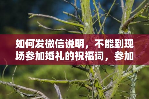 如何发微信说明，不能到现场参加婚礼的祝福词，参加婚礼的祝福