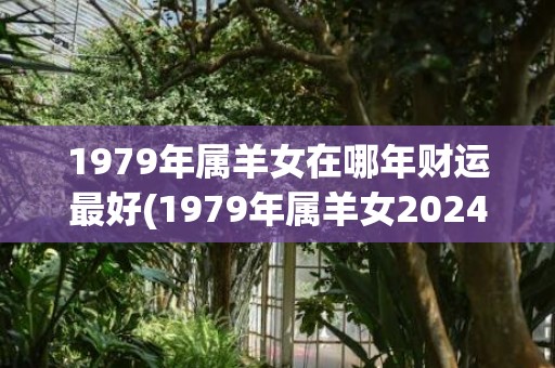 1979年属羊女在哪年财运最好(1979年属羊女2024年每月运势及运程)