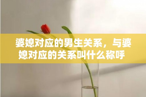 婆媳对应的男生关系，与婆媳对应的关系叫什么称呼 婆媳称呼