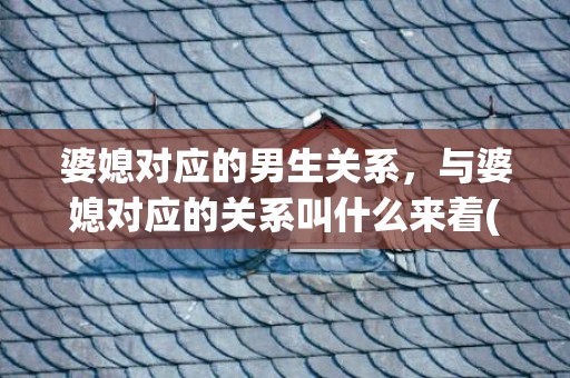 婆媳对应的男生关系，与婆媳对应的关系叫什么来着(婆媳是什么关系)