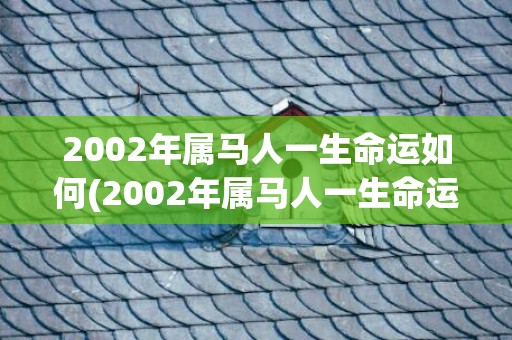 2002年属马人一生命运如何(2002年属马人一生命运如何)