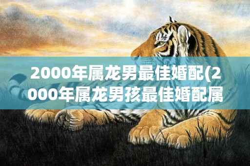 2000年属龙男最佳婚配(2000年属龙男孩最佳婚配属相)