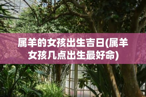 属羊的女孩出生吉日(属羊女孩几点出生最好命)