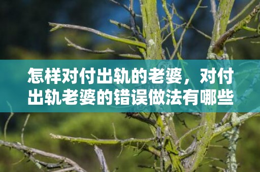 怎样对付出轨的老婆，对付出轨老婆的错误做法有哪些？