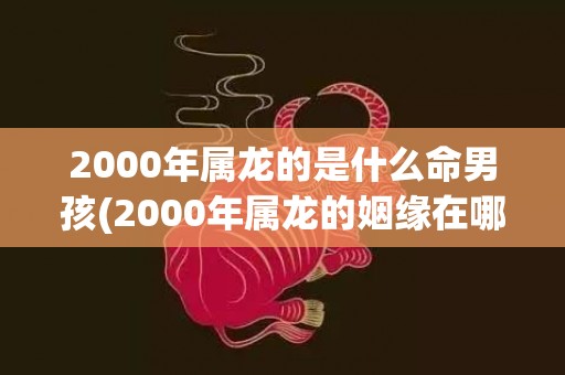 2000年属龙的是什么命男孩(2000年属龙的姻缘在哪年才会成功)
