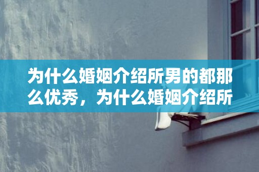 为什么婚姻介绍所男的都那么优秀，为什么婚姻介绍所开的不多了？如何开一家婚姻介绍所