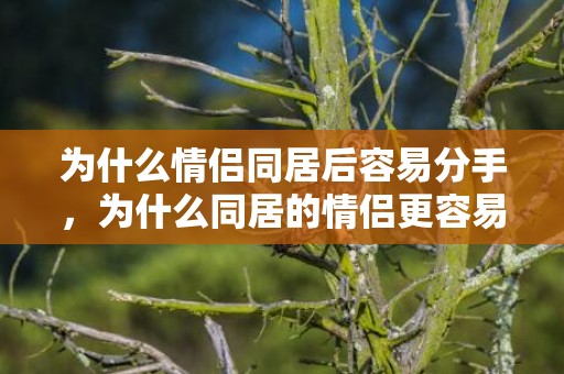 为什么情侣同居后容易分手，为什么同居的情侣更容易分手？为什么男女同居很容易分手