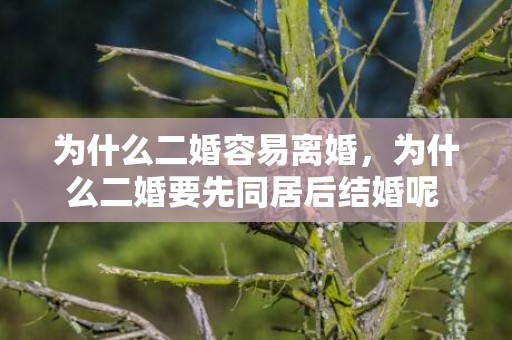 为什么二婚容易离婚，为什么二婚要先同居后结婚呢 二婚谈了3年不结婚