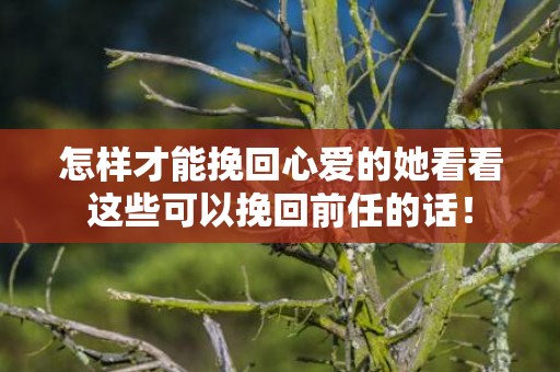 怎样才能挽回心爱的她看看这些可以挽回前任的话！
