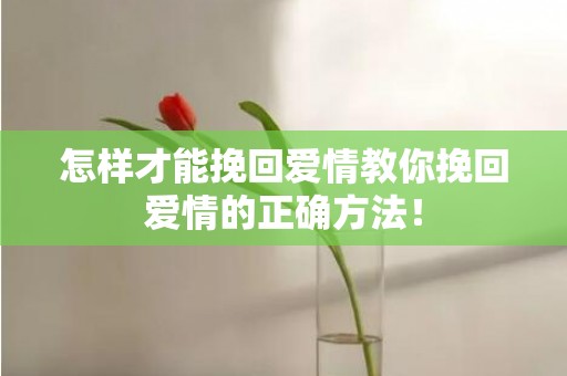 怎样才能挽回爱情教你挽回爱情的正确方法！