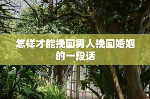 怎样才能挽回男人挽回婚姻的一段话