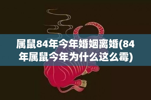 属鼠84年今年婚姻离婚(84年属鼠今年为什么这么霉)