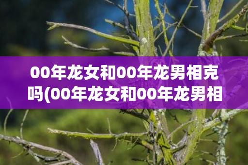 00年龙女和00年龙男相克吗(00年龙女和00年龙男相配吗)