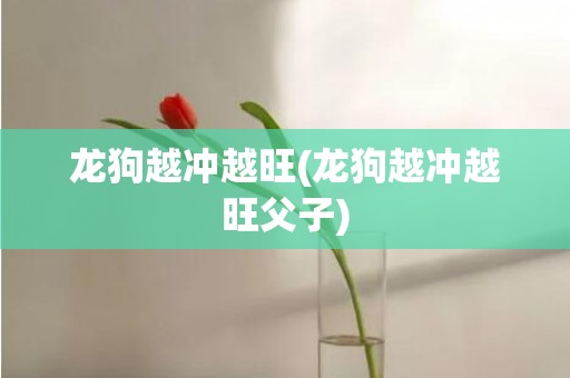 龙狗越冲越旺(龙狗越冲越旺父子)
