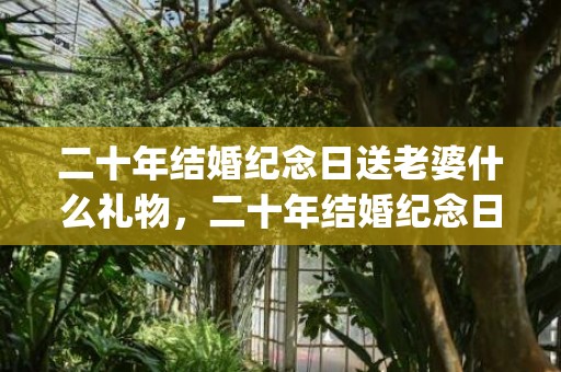 二十年结婚纪念日送老婆什么礼物，二十年结婚纪念日如何过好呢(十年结婚纪念日送什么礼物好)