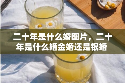 二十年是什么婚图片，二十年是什么婚金婚还是银婚 结婚二十几年算什么婚