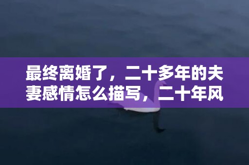 最终离婚了，二十多年的夫妻感情怎么描写，二十年风雨夫妻语录经典