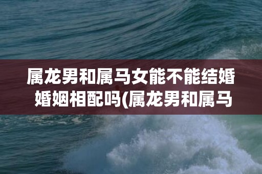属龙男和属马女能不能结婚 婚姻相配吗(属龙男和属马女能配婚吗)